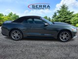 Used 2016 Ford Mustang Premium image 4