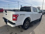 Used 2020 Ford F150 XLT w/ Equipment Group 302A Luxury image 3