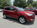 Used 2014 Ford Escape SE w/ Equipment Group 201A image 4