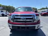 Used 2014 Ford F150 XLT w/ Equipment Group 301A Mid image 3