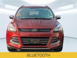 Used 2015 Ford Escape SE w/ SE Chrome Package image 2