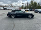 Used 2016 Ford Mustang Premium image 4