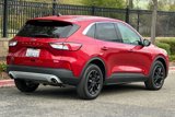 Used 2020 Ford Escape SE image 4