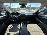 Certified 2022 Ford Escape SE image 3