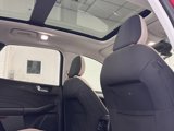 Used 2021 Ford Escape SE w/ Convenience Package image 6