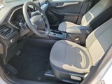 Used 2022 Ford Escape SE image 5