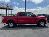 Used 2012 Ford F150 XLT image 2