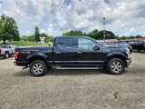 Used 2018 Ford F150 XLT w/ Equipment Group 302A Luxury image 4