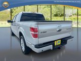 Used 2013 Ford F150 Platinum image 5