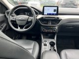 Used 2022 Ford Escape SE w/ Convenience Package image 6
