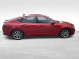 New 2025 Acura Integra image 4