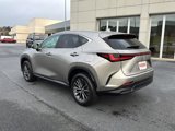 Used 2023 Lexus NX 350 AWD w/ Premium Package image 3