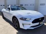 Used 2022 Ford Mustang Premium image 2