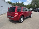 Used 2008 Ford Escape XLT image 3