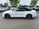 Used 2022 Ford Mustang Premium image 5