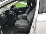 Used 2019 Ford Escape SE image 2