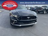 Used 2018 Ford Mustang GT Premium w/ GT Performance Package image 6