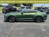 Certified 2023 Ford Mustang Coupe w/ Equipment Group 101A image 2
