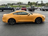 Used 2022 Ford Mustang Coupe w/ Equipment Group 101A image 5