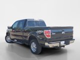 Used 2013 Ford F150 Lariat w/ Mid Equipment Group image 5