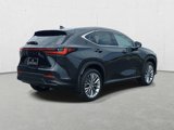 New 2025 Lexus NX 350 AWD w/ Accessory Package (2T) image 5