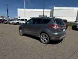 Used 2014 Ford Escape Titanium image 5