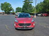 Used 2021 Ford Escape Titanium w/ Class II Trailer Tow Package image 3