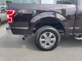 Used 2019 Ford F150 XLT w/ Equipment Group 302A Luxury image 3