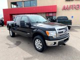 Used 2014 Ford F150 XLT w/ Equipment Group 302A Luxury image 2