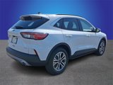 Used 2020 Ford Escape SEL image 4