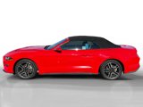 Certified 2023 Ford Mustang Premium image 2