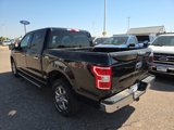 Used 2018 Ford F150 XLT w/ Equipment Group 302A Luxury image 3