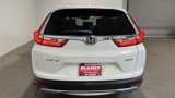 Used 2019 Honda CR-V EX-L image 4
