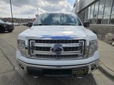 Used 2014 Ford F150 XLT w/ Equipment Group 302A Luxury image 4