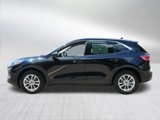Used 2020 Ford Escape SE image 4