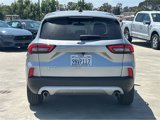 Certified 2024 Ford Escape Active w/ Cold Weather Package image 5