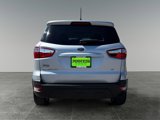 Used 2021 Ford EcoSport SE w/ SE Appearance Package image 5