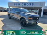 New 2025 Ford F150 STX image 1