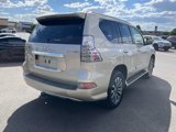 Used 2015 Lexus GX 460 Luxury image 3