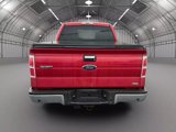 Used 2010 Ford F150 XLT image 5