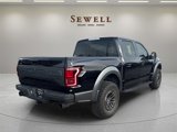 Used 2019 Ford F150 Raptor w/ Equipment Group 802A Luxury image 5