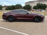 Used 2018 Ford Mustang Premium w/ Equipment Group 201A image 4
