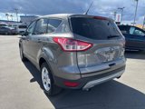 Used 2014 Ford Escape SE image 3