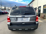 Used 2010 Ford Escape XLT image 5