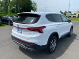 Used 2021 Hyundai Santa Fe SE w/ Cargo Package image 4