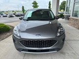 Used 2021 Ford Escape SE w/ Convenience Package image 3