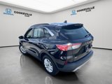 Used 2020 Ford Escape SE image 4