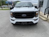 Used 2023 Ford F150 XLT image 6