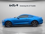 Used 2019 Ford Mustang Coupe w/ Equipment Group 101A image 4