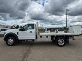 Used 2019 Ford F550 4x4 Regular Cab Super Duty image 4